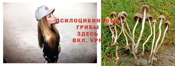 ешки Аркадак